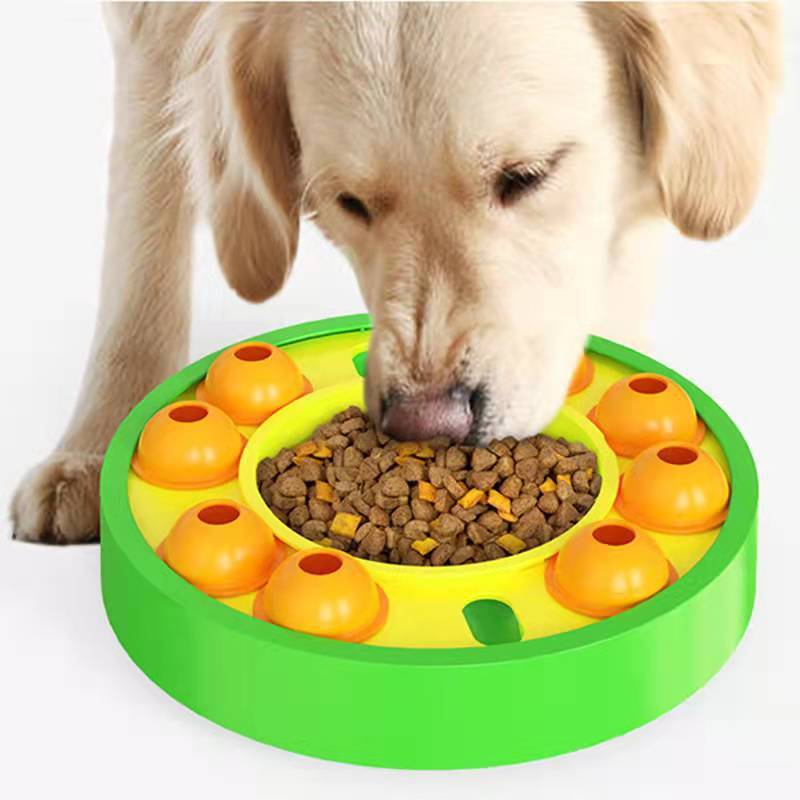 Interactive Slow Feeder for Dog Training