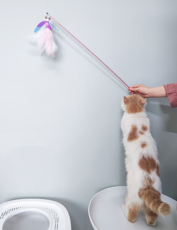 Retractable Fluffy Feather Cat Toy