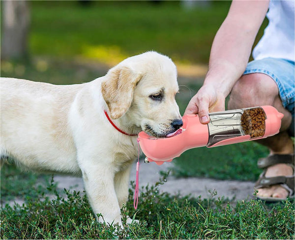 Pet Outdoor Travel 3 In 1 Dog Water Bottle