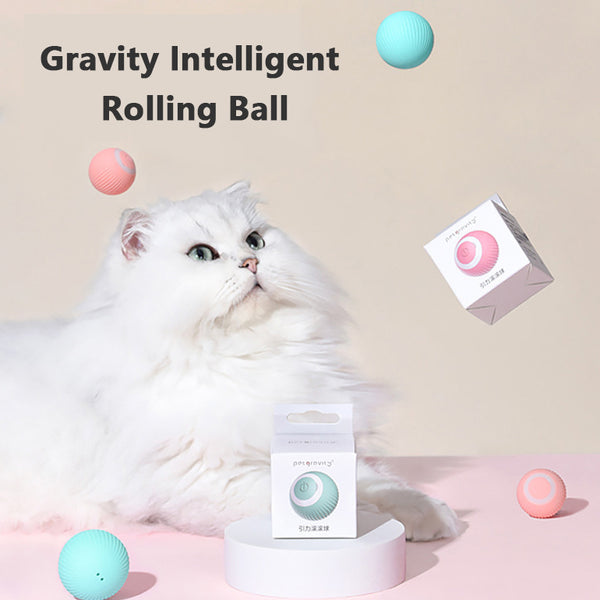 Pet toy Automatic Rotating Ball