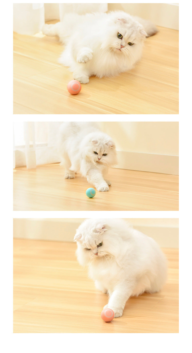 Pet toy Automatic Rotating Ball