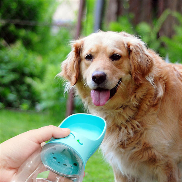 Portable Pet Water  Bottle